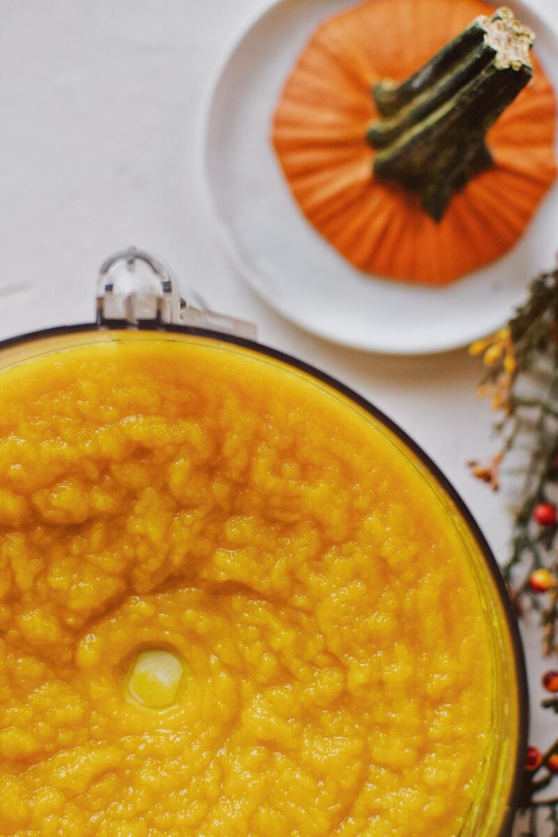 Homemade Pumpkin Pureé in the food processor after blending