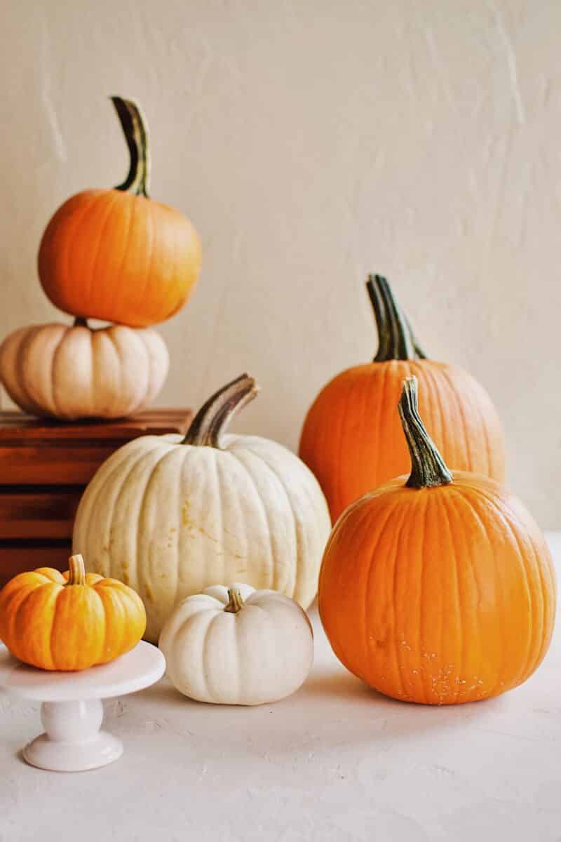 Many forms of different types of pumpkins.