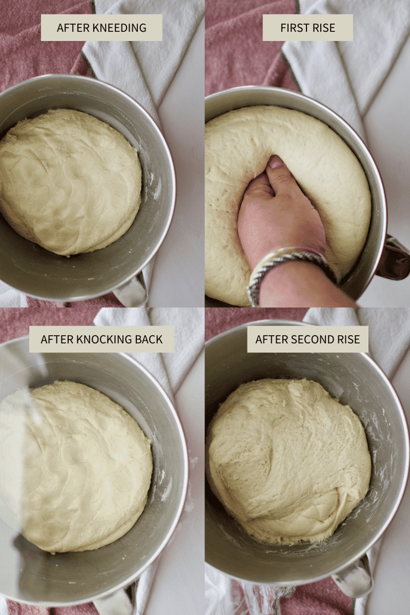 Pumpkin Spice Cinnamon Rolls Dough Proof and Rise