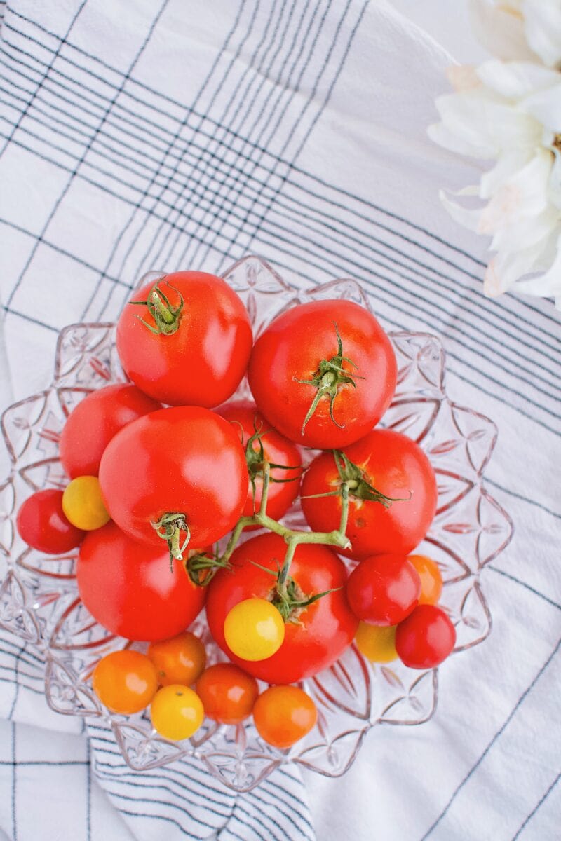 fresh summer tomatoes