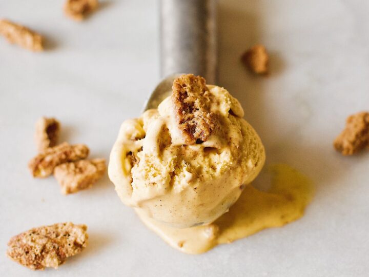 a single scoop of Pumpkin Cardamom Ice Cream.