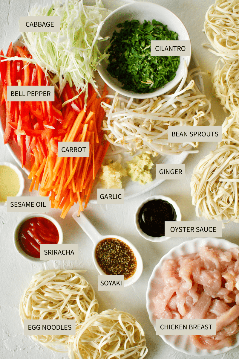Ingredients needed to make Lo Mein Chicken.