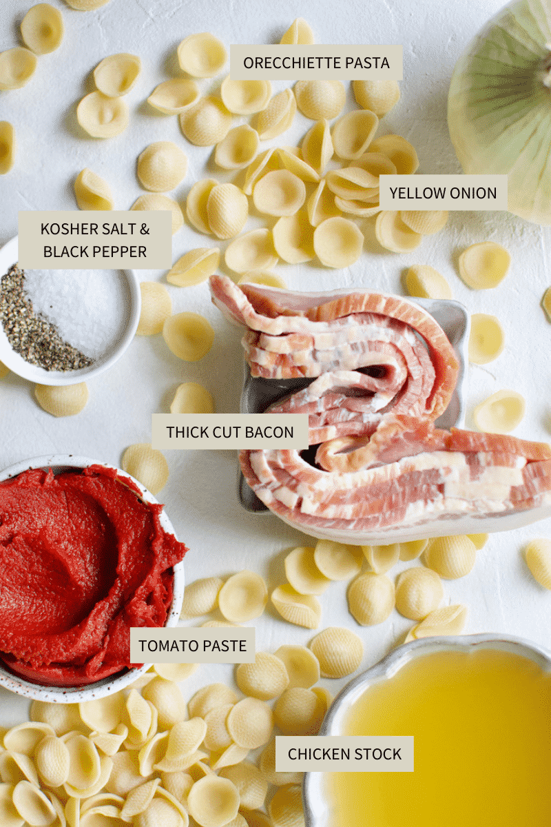 Ingredients needed to make Spaghetti Soup