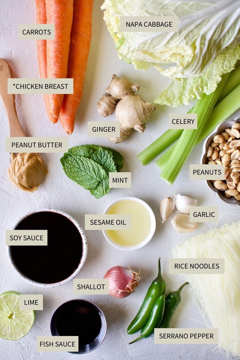 Ingredients needed to make Asian Noodle Salad.