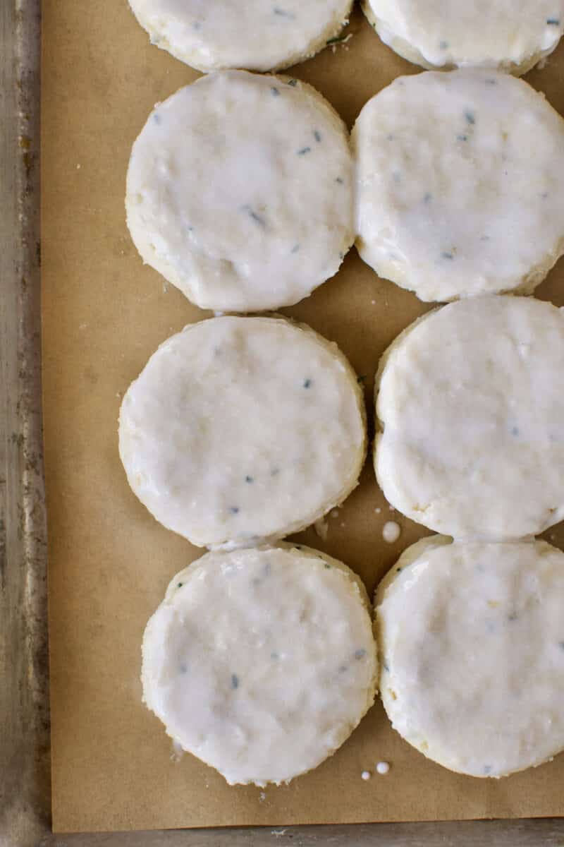 Biscuits brushed with buttermilk and ready to be baked.