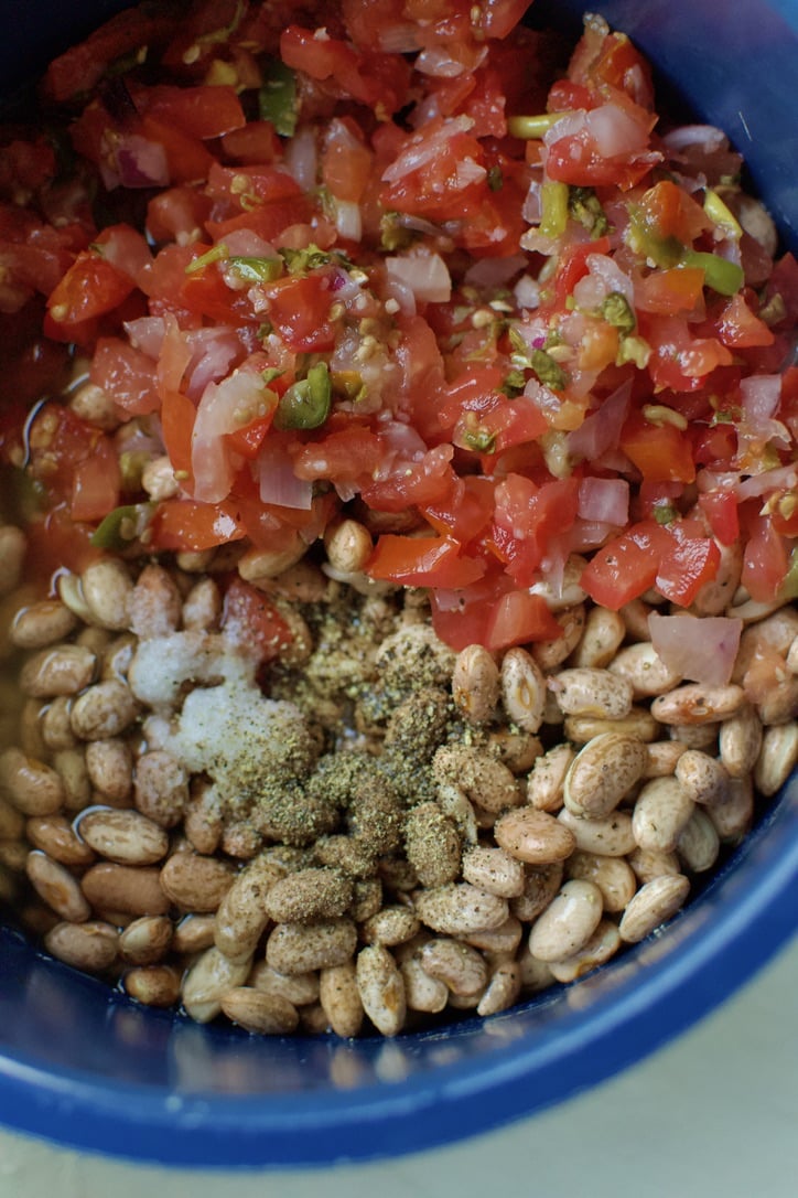 Pinto Beans, pico de gallo, chicken stock, salt and pepper in the bowl of a pressure cooker ready to be cooked.