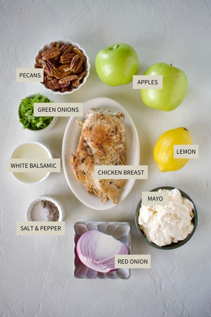 Ingredients needed to make Simple Chicken Salad Recipe.