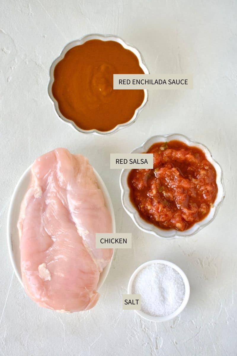 Ingredients needed to make Mexican Shredded Chicken.