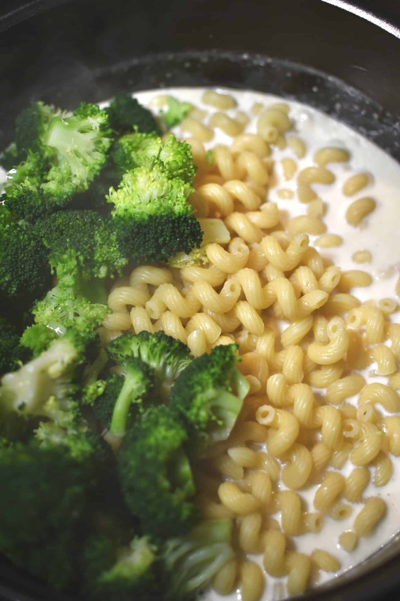 Adding cooked pasta and blanched and shocked broccoli to the alfredo sauce.