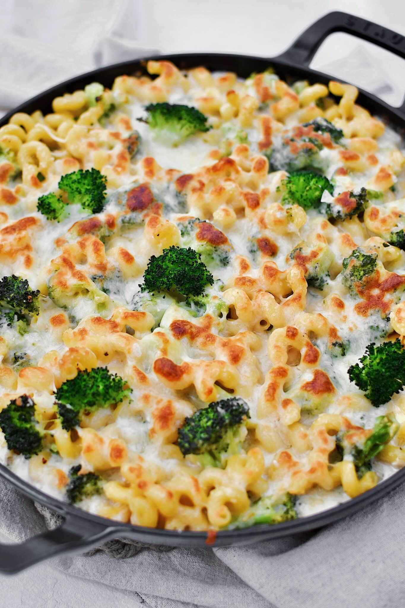 Alfredo Broccoli Pasta in the baking dish after baking to golden brown.