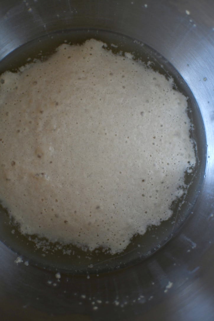 Bloomed Active Dry Yeast in warm water with honey in it.