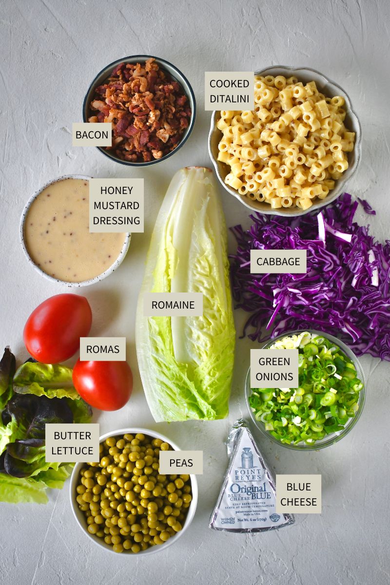 Ingredients needed to make Italian Pasta Salad.