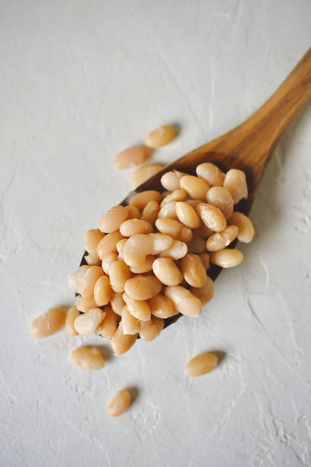 Instant Pot Beans in a spoon laying on the counter with some scattered around.