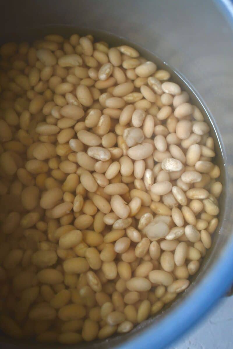 Beans, after pressure cooking in and electric pressure cooker or instant pot.