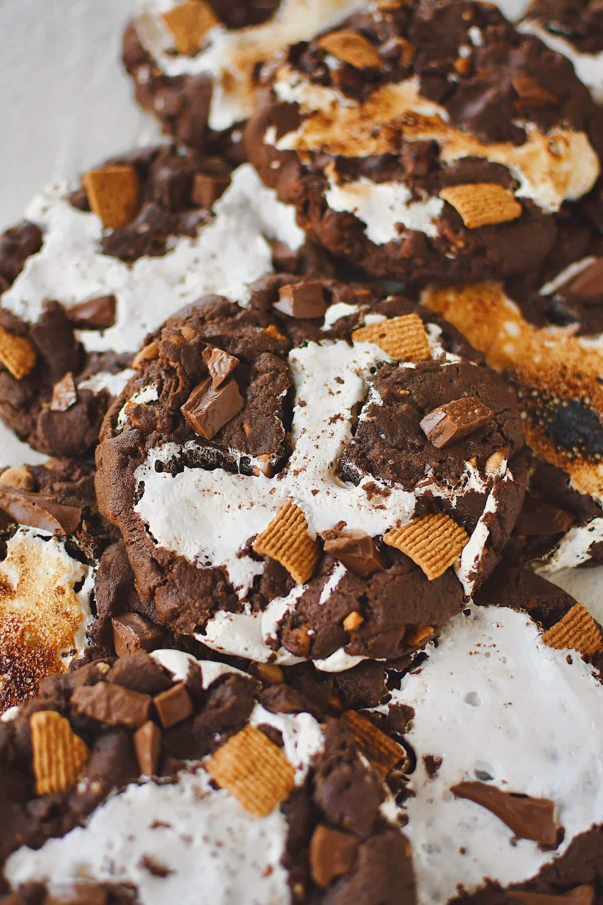 Chocolate Marshmallow Cookies ready to eat, some with toasted marshmallow.