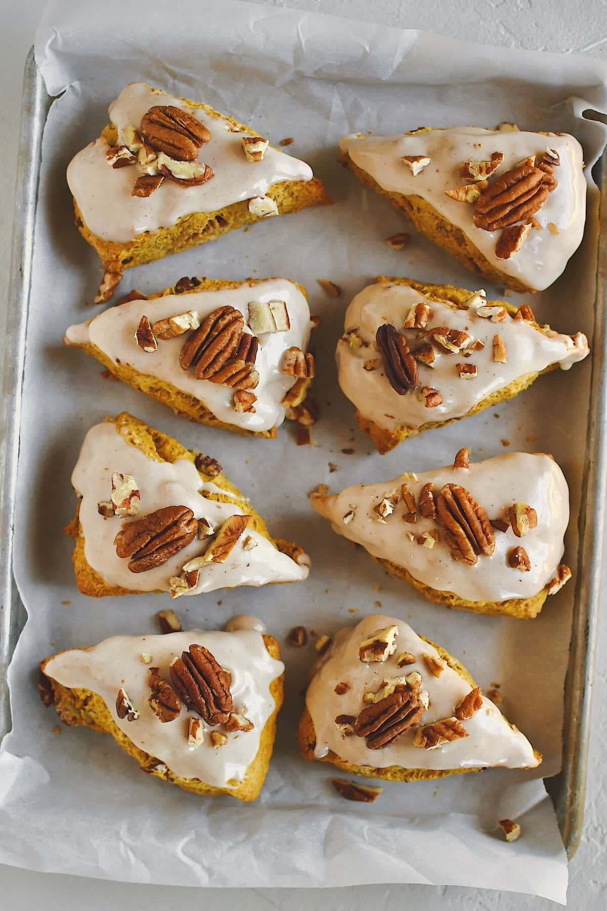 Pumpkin Scones, on a tray, topped with maple glaze and chopped pecans, ready to eat.