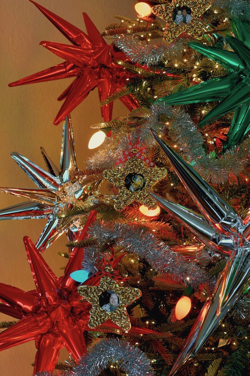 Macaroni Start Pasta Christmas Ornament, photo of me and Brinkley on a beautifully decorated tree.